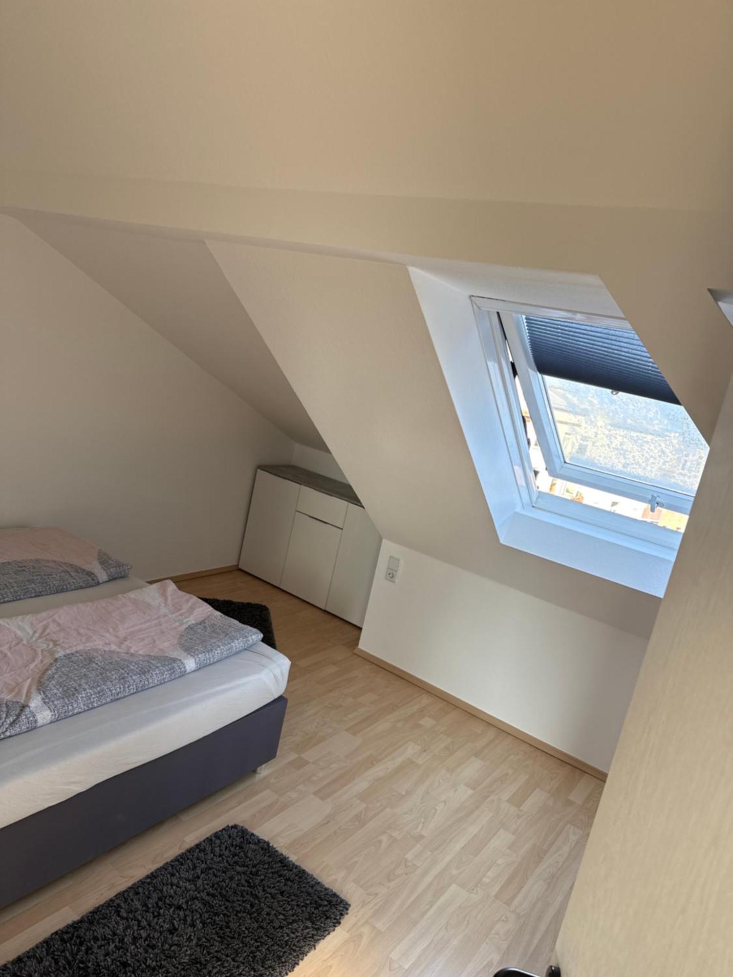 Kuschelige Dachgeschosswohnung Am Clarapark Leipzig Eksteriør billede